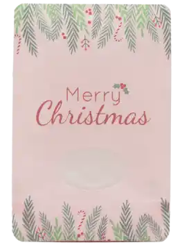 Custom holiday flexible packaging pouch