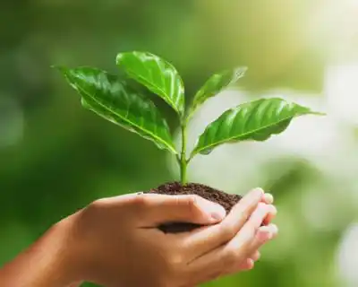 Eco-friendly child resistant pouch materials